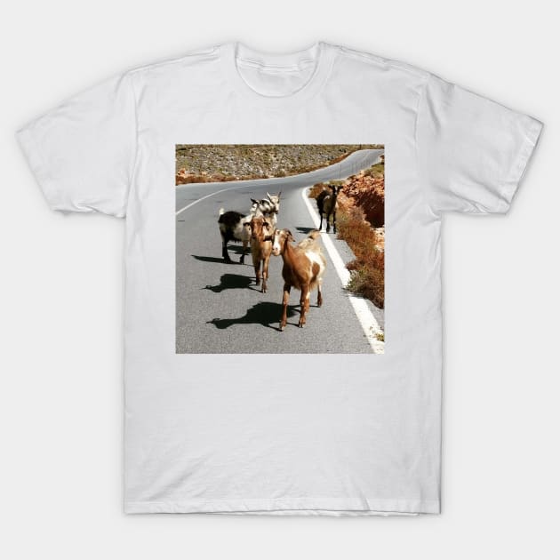 Funny Goat T-Shirt by GRKiT